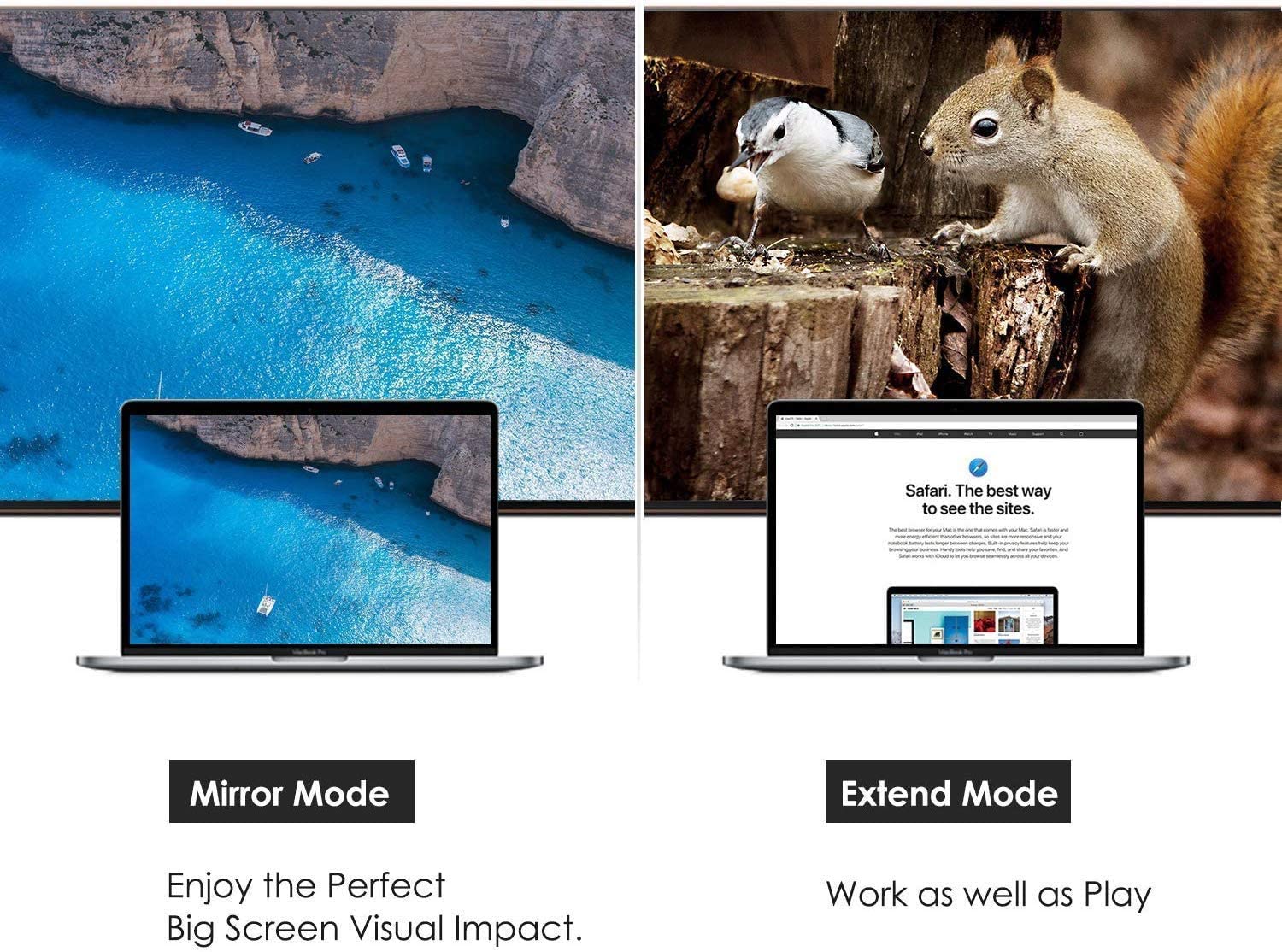 DPV01: Displayport to VGA Adapter M/F